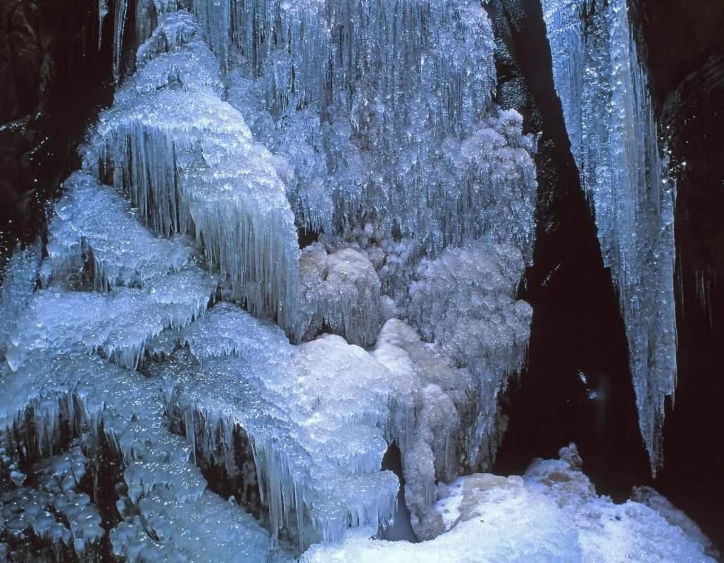 Ctyrlistek Teplice nad Metuji